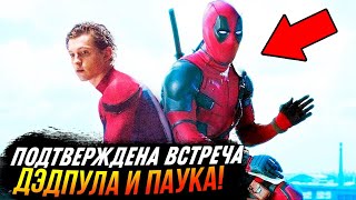 Официально! Встреча Человека-паука и Дэдпула подтверждена! Анонсы Кевина Файги.