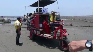 公會105年度第一梯次彰化王功漁港潮間帶體驗生態之旅20160515.