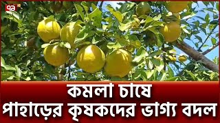 পাহাড়ে জনপ্রিয় হয়ে উঠছে কমলা চাষ | Orange cultivation | Ekattor TV