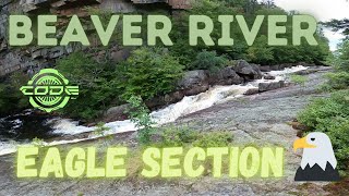 Beaver River Kayaking (New York): Eagle Section, Dagger Kayaks Code