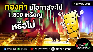 ทองคำมีโอกาสจะไป 1,800 เหรียญ หรือไม่ | 🐻 หมีดุกระทิงเดือด 🐮