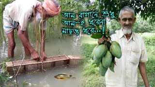 আম বাগানে শুধু আমিই ধরেনা মাছও ধরে।