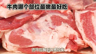 牛肉哪个部位最嫩最好吃，看完这个视频你就知道了