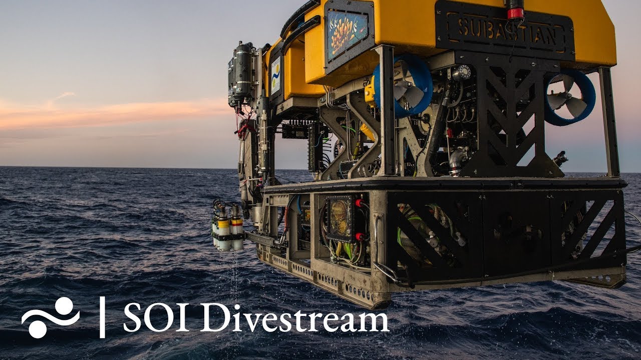 Bio Bio Canyon Soi Divestream 740 Youtube