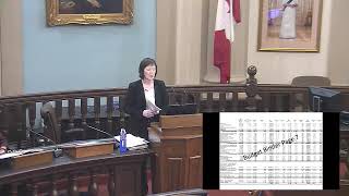 Kingston Ontario - Committee of the Whole - Budget Meeting - November 26, 2019