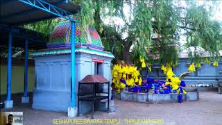 sri Seshapureeswarar Temple THIRUPAMPURAM, TAMIL NADU, TEMPLE FIRST