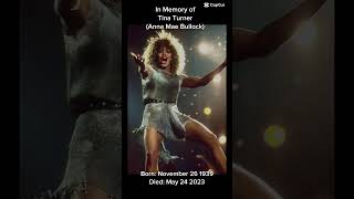 Tribute to the “Queen of Rock n Roll” Tina Turner