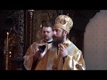 Preasfințitul Părinte Episcop vicar Damaschin Dorneanul.-Predica-27.ian.2019