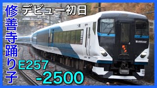 【修善寺踊り子】踊り子号がE257系に統一！2500番台がデビュー