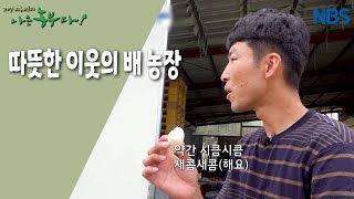 [나는 농부다) 한우愛 빠진 초보 농부 승우 씨] 따뜻한 이웃의 배 농장