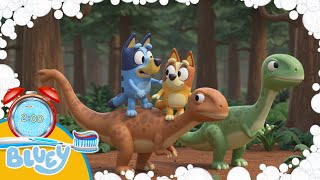 New Bluey & the time machine 2 Minute Toothbrush timer with Music