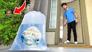 MY STALKER Sent Me A Puffer Fish... *CAUGHT ON CAMERA*