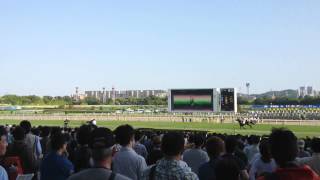 競馬 G1 2012年 第79回 東京優駿 日本ダービー 返し馬 現地撮影 iPhone4S