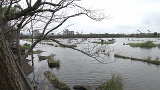 羅東林業文化園區春節慢活 初二至初八開館迎賓