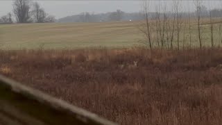 2024 Michigan Gun Whitetail Deer Opening Day 11/15/24