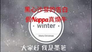 【黑心沙發的告白】家具店說的nappa牛皮 親膚牛皮 其實是便宜的爛牛皮