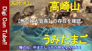 【ぐるり九州 V11大分】＜高崎山＆うみたまご＞贅沢２視点！！おさかなさん（海）とおさるさん（山）を同時に楽しめる大分の観光スポットをご紹介♪