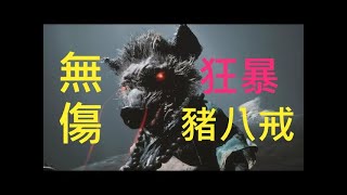 黑神話 悟空 BOSS 豬八戒(無傷)