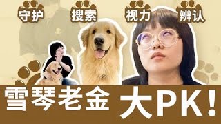 雪琴vs.老金！跨越物种大PK，实力相差也太...【我是李雪琴啊】