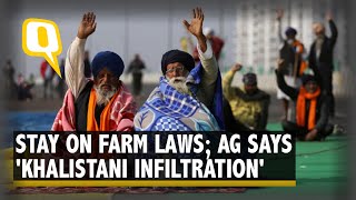 Farmers' Protests | SC Stays Implementation of Farm Laws, Sets up Expert Committee | The Quint