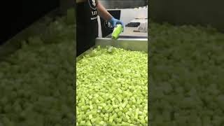 amazing green apple 🍏🍎 candy cutting video#shorys#ytshorts#satisfying video#subscribe for more video