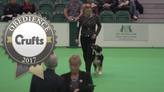 Obedience Championship - Bitches - Part 6 | Crufts 2017