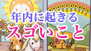 【神回‼️】⚠️猫注意⚠️年内に起きるスゴいこと✨