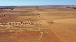 Mildura farmers are ‘angry and exhausted’