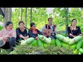 Adoh Jrai - Kao Rongot Đơi - Nhạc Dân Tộc Tây Nguyên @SIUNANPTP