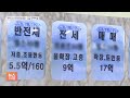 송파에 5천만 원 마피 등장…매매·전세 곤두박질