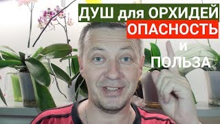 ДУШ для ОРХИДЕЙ теплый и горячий, в чем ПОЛЬЗА и ОПАСНОСТЬ