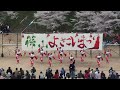 八琴栾 はちきんらん 　2014篠山よさこい　メインステージ