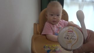 人類史上最強の離乳食　オハヨー乳業のジャージー牛乳プリンを息子に食べさせてみた