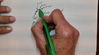 Unit 6 Notes 5 Euler's Method