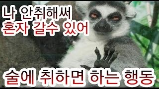 술에 취하면 사람들이 하는 행동 TOP5