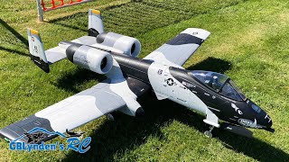 Freewing A-10 Thunderbolt II \