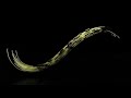 Cinema4D xparticles spline animation using cycles4d