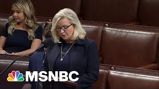 The Last Thing: Protecting Our Democracy