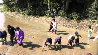 下中八幡神社お田植祭2012.03.11