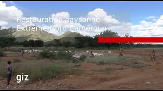 Restauration paysanne à l'Extrême Nord du Cameroun