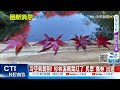 【每日必看】冷空氣報到 杉林溪楓葉紅了 民眾