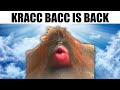 Kracc Bacc is Back