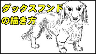 【動物の描き方】ダックスフンドのリアルなイラストが誰でも簡単に上手くなる方法ー中学校の美術で使える動物スケッチの書き方のコツ