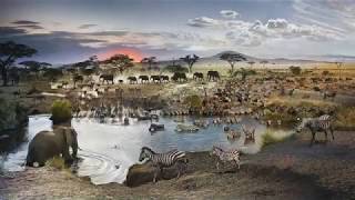 Chasing History: Tales of the Dino Dude Ranch - The 8-Foot Dinosaur Rib