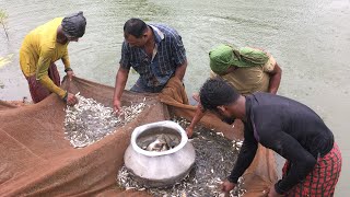 বৈচিত্রময় নৈসর্গিক সৌন্দর্যে ভরপুর বাংলাদেশের গ্রাম | মাটি ও মানুষ | মৎস্য খামার | ফেনী জেলা