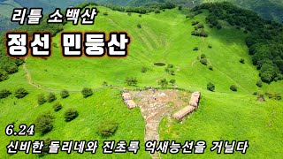 [민둥산 등산]👍감탄!! 리틀 소백산 민둥산 진초록 억새산행/신비한 민둥산 돌리네/드론영상