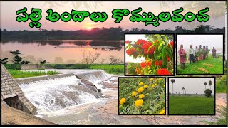 KOMMULAVANCHA |#NARSIMHULAPETA|PALLE ANDALU |TELANGANA VILLAGE |AKERU DAM|VILLAGE GREENARY VEDIO