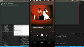 Python Spotify Terminal Remote Control