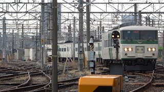 2021/03/09 【回送】 185系 OM04編成 尾久車両センター | JR East: 185 Series OM04 Set at Oku Rail Yard