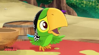 Jake and the Never Land Pirates | Flight of the Feathers | Disney Junior UK